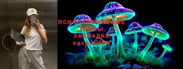 МДПВ Михайловка