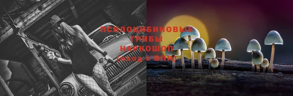 МДПВ Михайловка