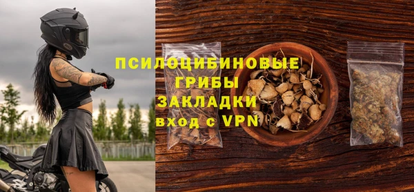 спайс Михайлов