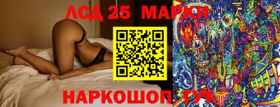 apvp Гусев
