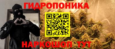 ECSTASY Гусь-Хрустальный