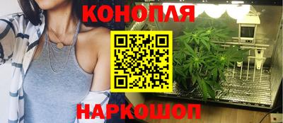 apvp Гусев