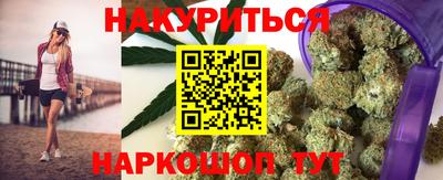 гидра Заводоуковск