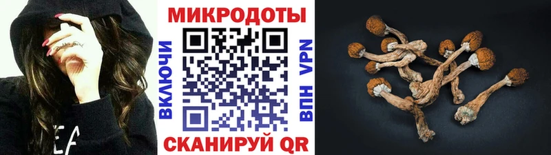 Галлюциногенные грибы Psilocybine cubensis даркнет сайт Когалым